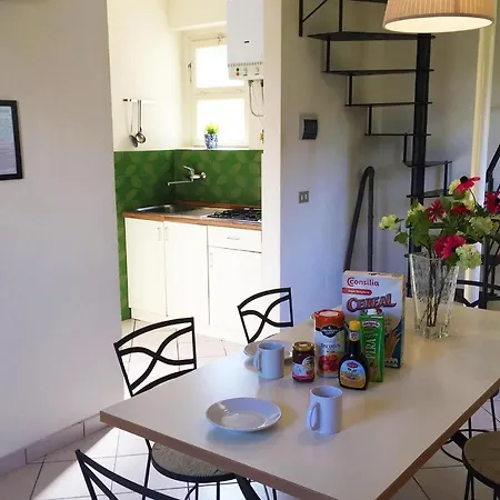Apartment- Maria Crone